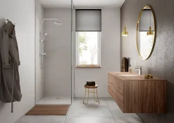 Mitigeur de douche chrome Hansgrohe vernis Blend