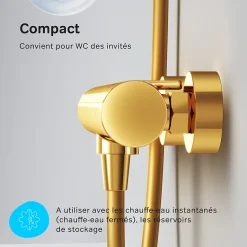 Mitigeur de douche thermostatique Robinet salle de bain, Doré FXA40099 X-Joy AM.PM