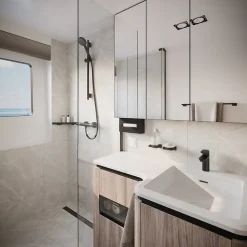 Mitigeur de douche thermostatique noir Hansgrohe Ecostat E