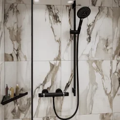 Mitigeur de douche thermostatique noir Hansgrohe Ecostat E