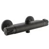 Mitigeur de douche thermostatique noir Edouard Rousseau Breva