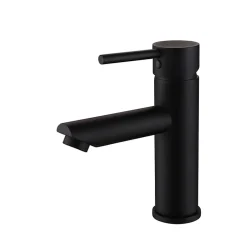 Mitigeur de lavabo à bec court Noir