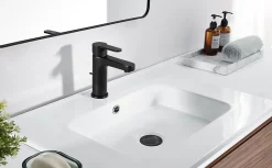 Mitigeur de lavabo avec Tirette de Vidage, Bonde Incluse, Auralum Max Robinet Salle de Bain Noir Robinetterie en Laiton