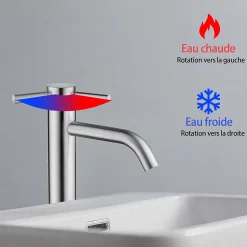 Mitigeur de lavabo haut, acier inoxydable 304 brossé argenté, mixte froid/chaud