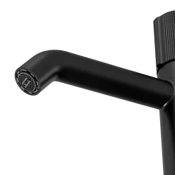 Mitigeur de lavabo M, noir, GoodHome Levanna