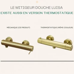 Mitigeur douche mécanique or brossé Essebagno Luisa