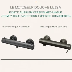 Mitigeur douche thermostatique gun métal Essebagno Luisa