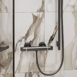 Mitigeur douche thermostatique HANSGROHE Ecostat Comfort noir chromé brossé + Nettoyant Briochin