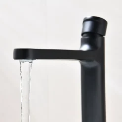 Mitigeur surélevé pour lavabo et vasque BERNSTEIN 8212 - Noir mat
