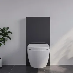 Pack complet WC suspendu Blanc 36x55x33cm (LxPxH) + Module sanitaire Noir 48x11x100xm (LxPxH) - Garantie 5 ans