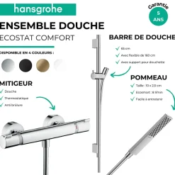Pack mitigeur douche thermostatique HANSGROHE Ecostat Comfort + Barre Unica S Puro + flexible + Pommeau Pulsify E bronze brossé
