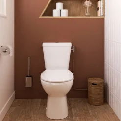 Pack WC à poser sans bord avec abattant déclipsable et frein de chute, sortie horizontale, NF, GoodHome Tasi