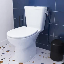 Pack WC à poser sans bride avec abattant déclipsable et frein de chute, sortie verticale, NF, GoodHome Tasi