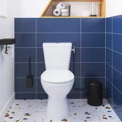 Pack WC à poser sans bride avec abattant déclipsable et frein de chute, sortie verticale, NF, GoodHome Tasi