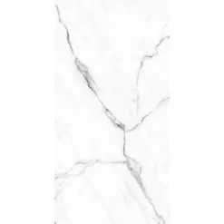 Panneau mural de salle de bain l.125 x H.255 cm, marbre blanc et gris, Schulte DécoDesign