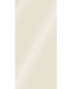 Panneau mural de salle de bains l.100 x H.210 cm, beige brillant, Schulte Décodesign Brio vendu par 2