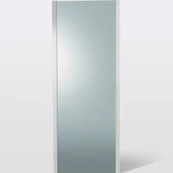 Paroi de douche fixe Cooke & Lewis Zilia verre fumé 80 cm