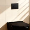 Plaque de chasse d'eau noir GoodHome