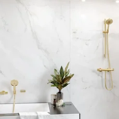 Pommeau de douche HANSGROHE Raindance Select S EcoSmart 120 3 jets + flexible 1,60 m HANSGROHE Isiflex aspect doré poli