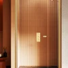 Porte de Douche Encastrée Pivotante - 160 x 195 - OR BROSSÉ - NEW SOLEO