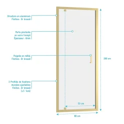 Porte de douche pivotante 80 x 200 cm, profilés alu doré brossé, Galedo Factory Gold