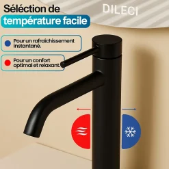 Robinet à bec court pour salle de bain couleur noir mat - DILECI