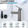 Robinet compact pour salle de bain couleur gris métallisé - DILECI