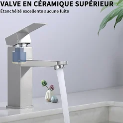 Robinet Salle Bain Carrée Mitigeur de lavabo Eau Froide Chaude Disponible Robinet Lavabo en Acier Inoxydable Mousseur Démontable