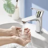 Robinet Salle de Bain Chromé Mitigeur de Lavabo à Deux Voies pour Salle de Bain Robinet Lavabo en Acier Inox