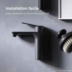 Robinet Salle de Bain Mitigeur lavabo, Noir, taille M, FTA02122 AM.PM