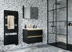Sèche-serviettes électrique à inertie fluide Sauter Asama connectable anthracite 750W