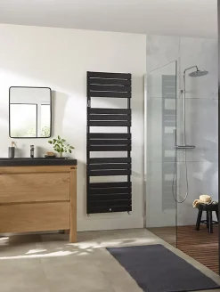Sèche-serviettes Riviera 2 eau chaude 685W blanc brillant - THERMOR - 498113