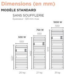 Sèche-serviettes Riviera 2 500W vert eucalyptus - THERMOR - 497525