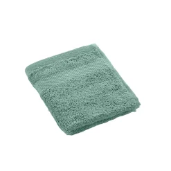 Serviette de toilette invite 30 x 50 cm Elegante celadon