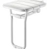 Siège de douche relevable avec pied en aluminium époxy blanc - Delabie