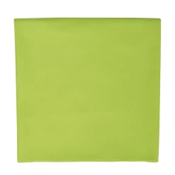 SOLS - Serviette ATOLL Vert pomme (Taille unique)
