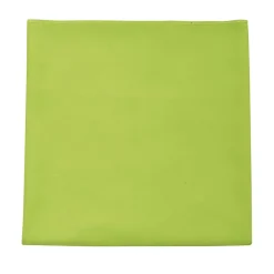 SOLS - Serviette ATOLL Vert pomme (Taille unique)