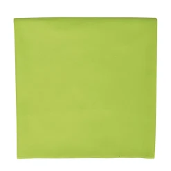 SOLS - Serviette ATOLL Vert pomme (Taille unique)