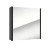 Swiss Aqua Technologies Armoire à miroir SAT Delano 60x60 cm stratifié noir (DELANOG60C)