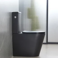 Swiss Aqua Technologies Brevis WC à poser sans bride + abattant softclose, noir mat (SATBRE031RREXVPBKM)