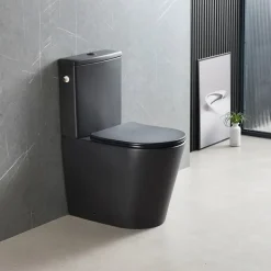 Swiss Aqua Technologies Brevis WC à poser sans bride + abattant softclose, noir mat (SATBRE031RREXVPBKM)