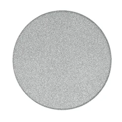 Swiss Aqua Technologies Pierre de ponçage de rechange pour douchette pédicure, grain fin (SATWTSSF80)