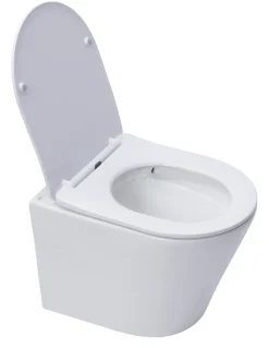 Swiss Aqua Technologies WC suspendu Infinitio sans bride et fixations invisibles + abattant frein de chute (SATINF010RREXP)