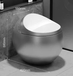 Toilette japonaise moderne Hoshi