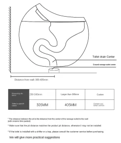 Toilette japonaise moderne Hoshi