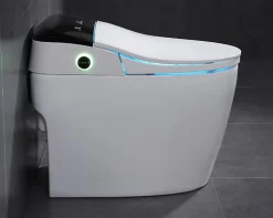 Toilette japonaise moderne Daimyo