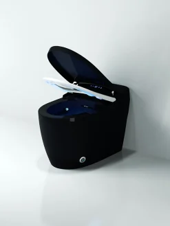 Toilette japonaise moderne Ninja