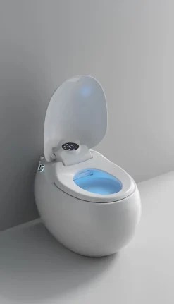 Toilette japonaise moderne Dojo