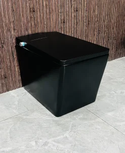 Toilette japonaise moderne Shinobi