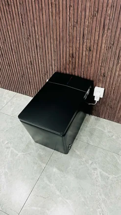 Toilette japonaise moderne Shinobi